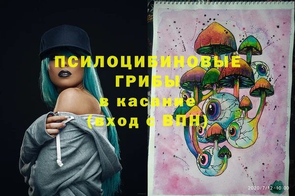 мяу мяу мука Абаза