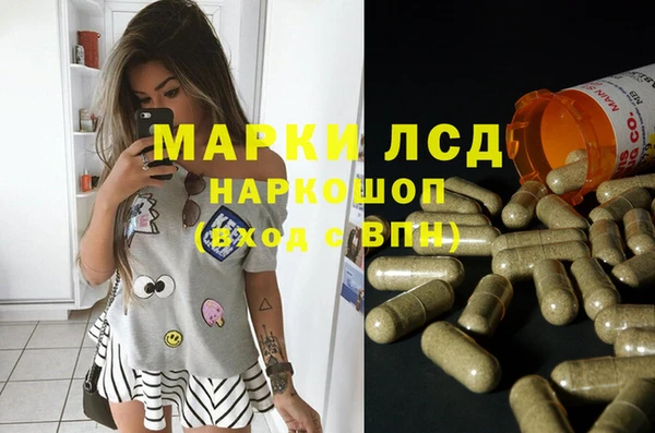 мяу мяу мука Абаза