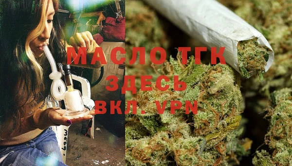 мяу мяу мука Абаза