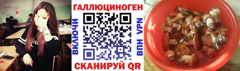 hydra ТОР площадка официальный сайт Псилоцибиновые грибы Magic Shrooms Белоусово